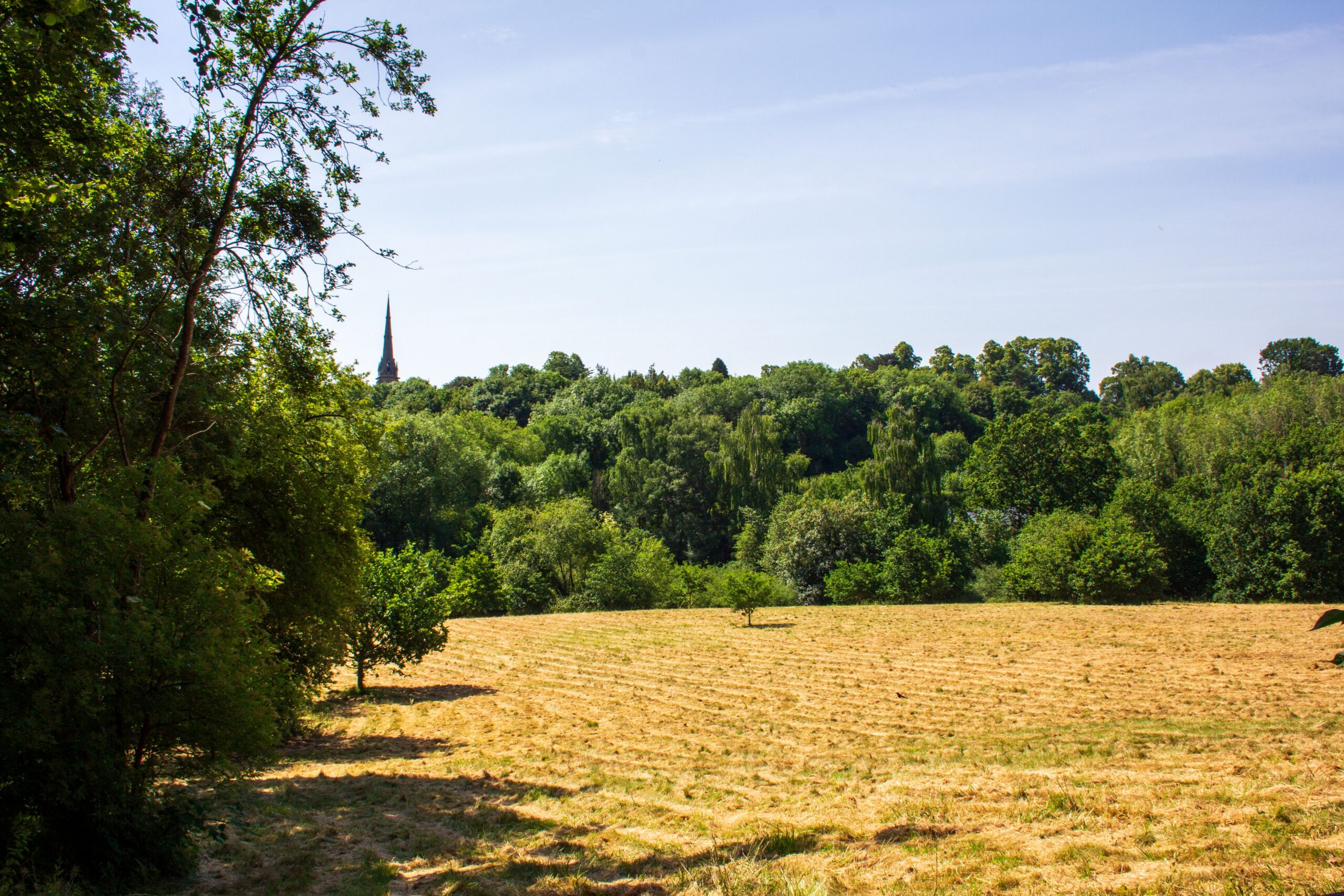 Trees and grassy landscape Shrewsbury