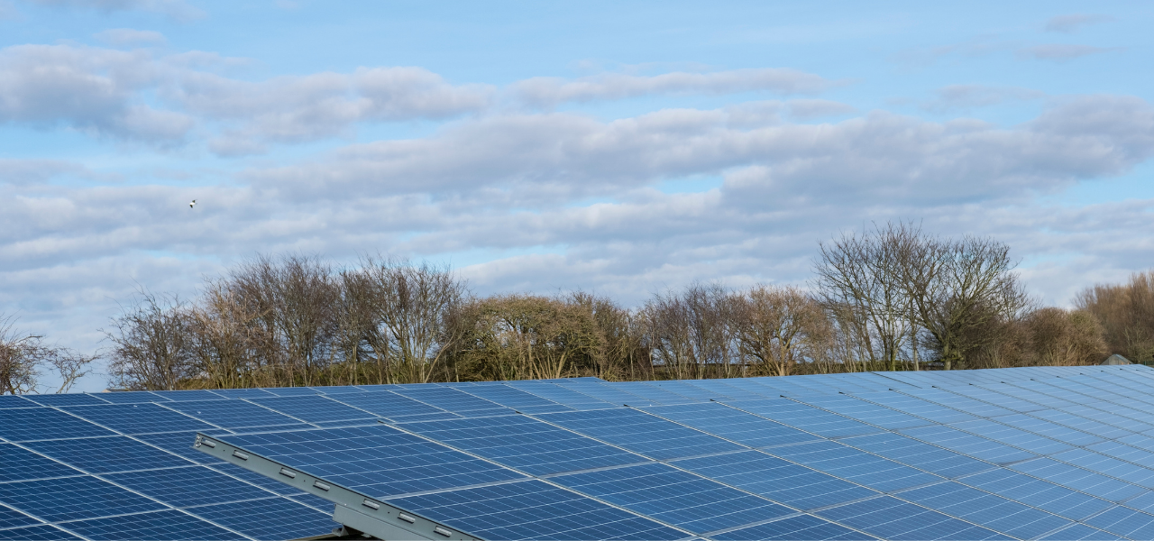 Solar Panels in a solar farm