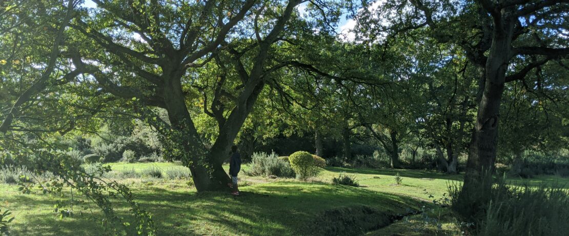 green grass field with trees during daytime