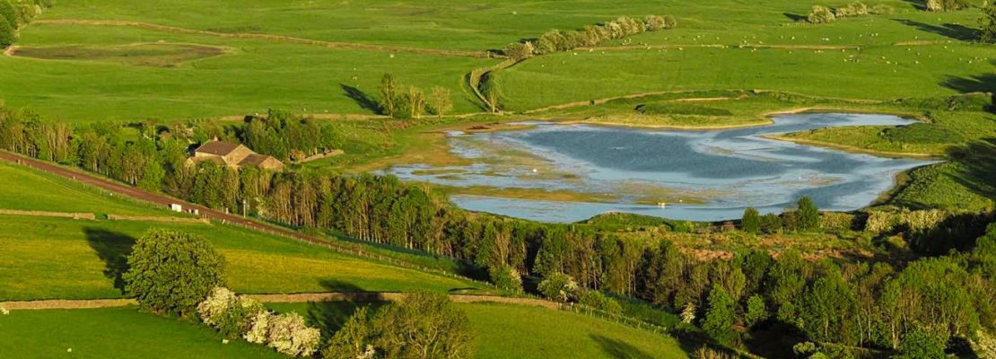 A small lake surrounded by green fields, scattered trees, and a few farm buildings under sunlight.