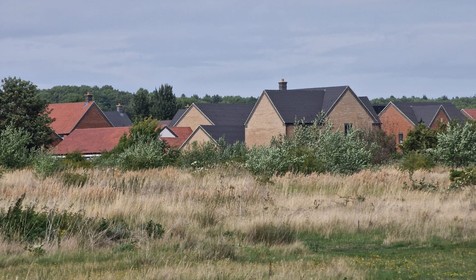 View of new houses with rough grassland in front