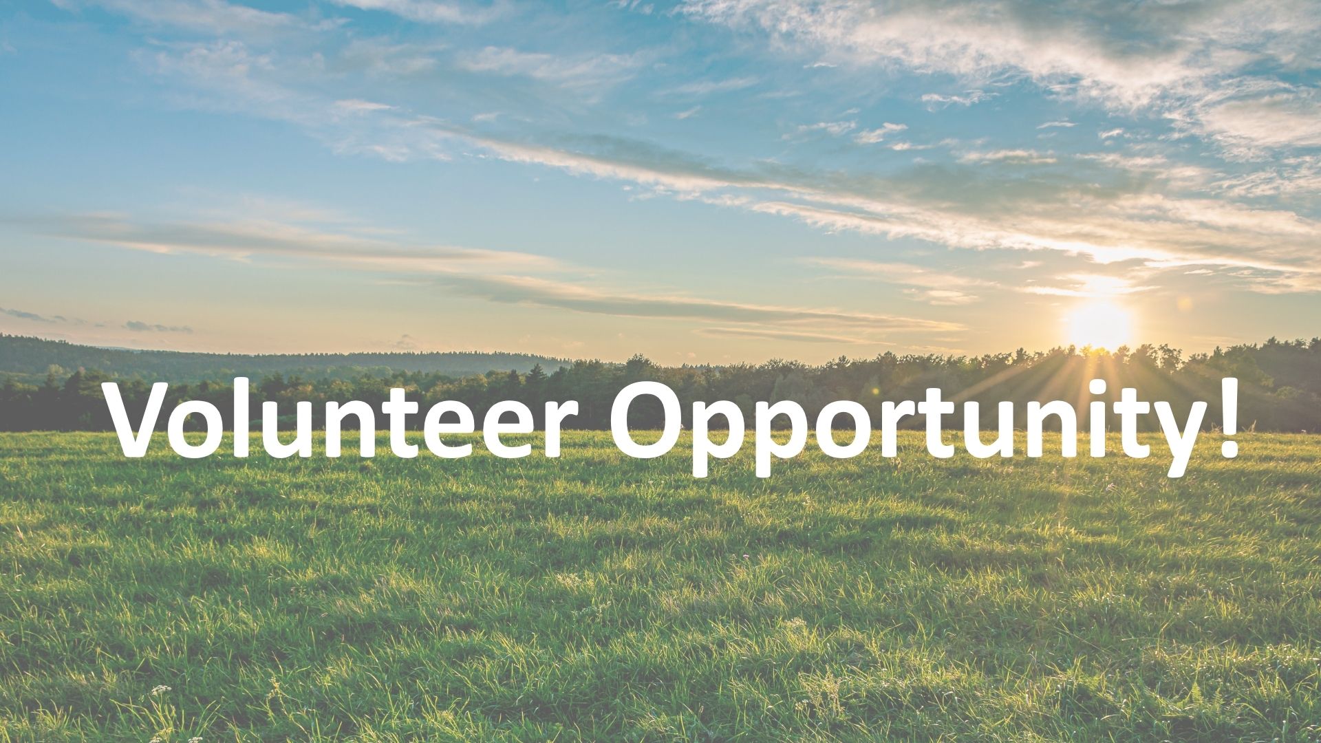 A picture of the countryside with the words 'Volunteer Opportunity' across the picture.
