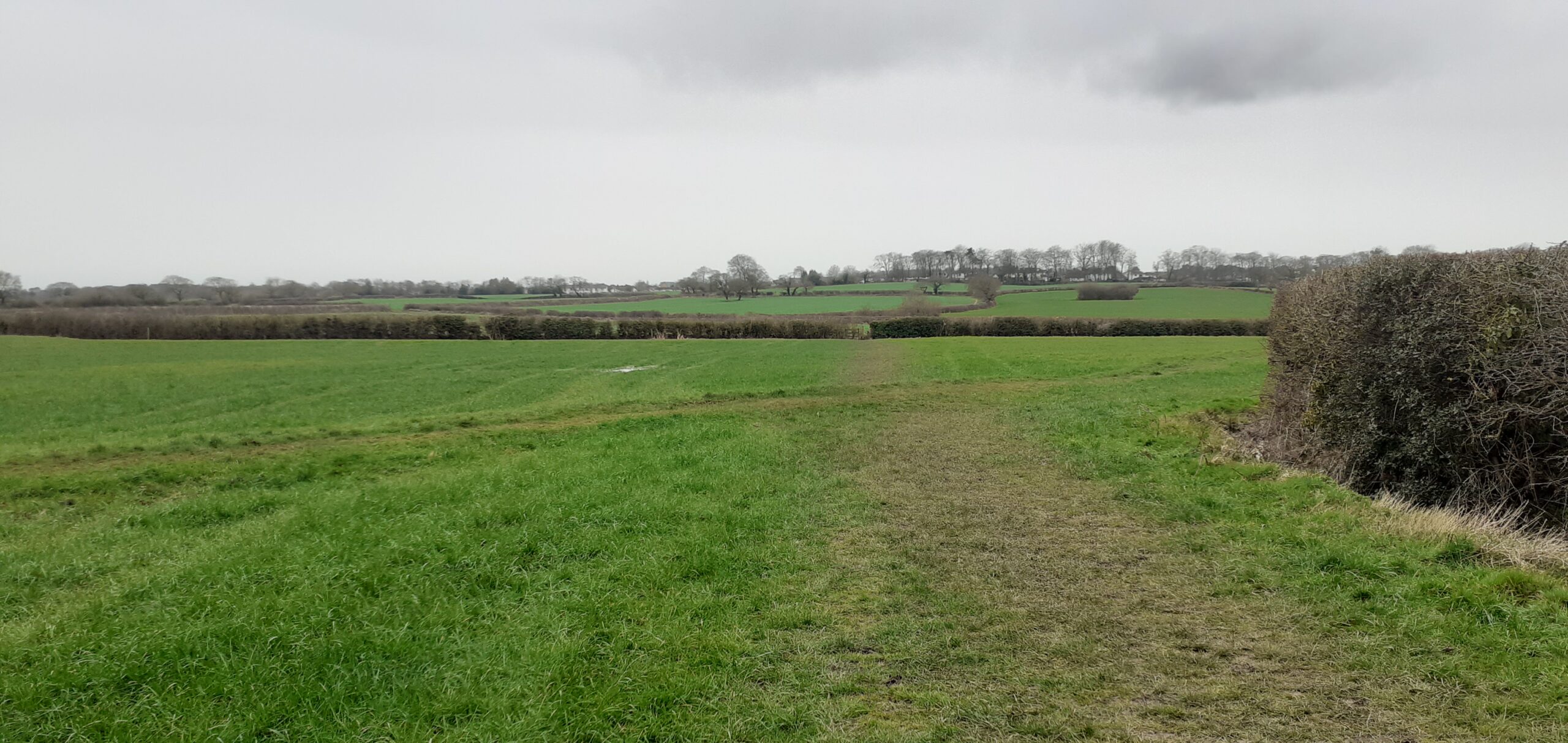 Open countryside on the Wirral with fields, hedges and a footpath