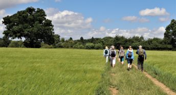 group of walkers on a path through a field on a sunny day