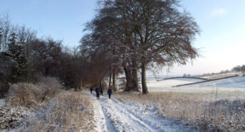 group of walkers on snowy footpath