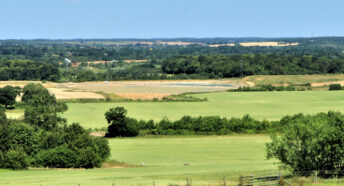 green fields, hedgerows and trees