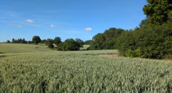 lush green cropland with woodland and hedgerows under a sunny blue sky