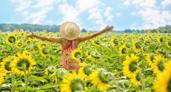 A woman celebrating in a field of sunflowers