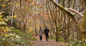 Woman and man walking through woodland