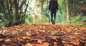 A man walking away from the camera through autumn leaves in woodland