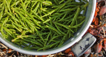 Close-up of samphire in a metal steamer.