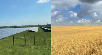 solar farm vs food farm